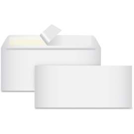 Bus. Source No. 10 Peel-to-seal Envelopes