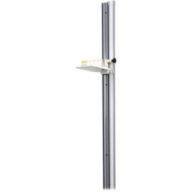 Health o Meter Wall-Mounted Height Rod