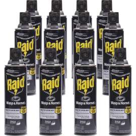 SC Johnson Raid Wasp/Hornet Bug Killer Spray
