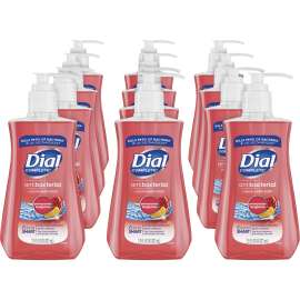 Dial Corp. Dial Pomegranate AntiBact Hand Soap