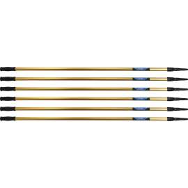 Ettore Prod. REA-C-H 2-Section Pole