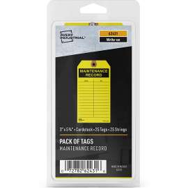 Avery® Preprinted MAINTENANCE RECORD Hang Tags, 25/Pack