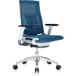 Eurotech Powerfit Chair