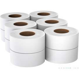 Scott Toilet Paper 12 Rolls