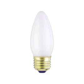 Westinghouse 25 W B11 Decorative Incandescent Bulb E26 (Medium) Warm White 2 pk