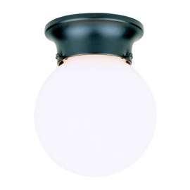 Westinghouse Gloss Black Incandescent Light Fixture