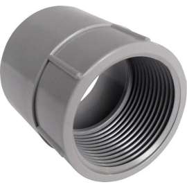 Cantex 2 in. D PVC Female Adapter 1 pk