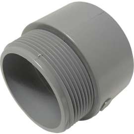 Cantex 2 in. D PVC Male Adapter 1 pk