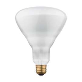 Westinghouse 65 W BR40 Floodlight Incandescent Bulb E26 (Medium) Soft White 1 pk
