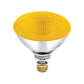 Westinghouse Bug Light 100 W E26 Floodlight Incandescent Bulb E26 (Medium) Yellow 1 pk