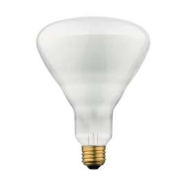 Westinghouse 65 W BR40 Floodlight Incandescent Bulb E26 (Medium) Soft White 6 pk