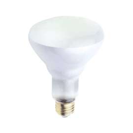 Westinghouse 65 W BR30 Floodlight Incandescent Bulb E26 (Medium) White 12 pk