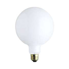Westinghouse 60 W G40 Globe Incandescent Bulb E26 (Medium) White 1 pk