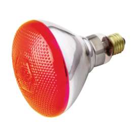 Satco 100 W BR40 Reflector Incandescent Bulb E26 (Medium) Red 1 pk