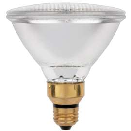 Westinghouse Eco 60 W PAR38 Floodlight Halogen Bulb 1,070 lm Bright White 1 pk