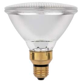Westinghouse Eco 90 W PAR38 Floodlight Halogen Bulb 1,790 lm Warm White 2 pk