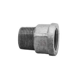 Anvil 1/2 in. FPT Malleable Iron Extension Piece