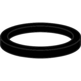 Danco 1-5/16 in. D Plastic Washer 1 pk