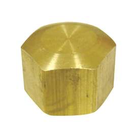 JMF Company 1/4 in. Compression Brass Cap
