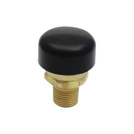 Cash Acme VR20 1/2 in. Thread Thread Brass Relief Valve