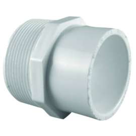 Charlotte Pipe Schedule 40 3/4 in. MPT X 1 in. D Slip PVC Pipe Adapter 1 pk