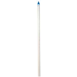 Campbell Brady PVC White 1.5 in. Pointed Well Screen