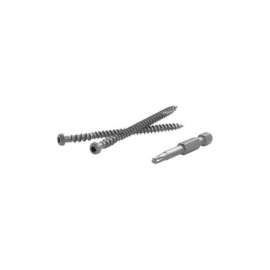 FastenMaster TrapEase No. 20 X 2-1/2 in. L Gravel Path Torx Ttap Star Head Composite Deck Screws 75