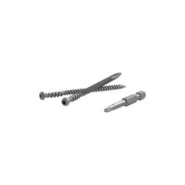 FastenMaster TrapEase 2-1/2 in. L Torx Ttap Star Head Composite Deck Screws 350 pk