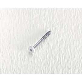 Starborn Deckfast No. 9 X 1-7/8 in. L White Star Pan Head Fascia Screws 100 pk