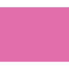 Hillman English Pink Blank Sign 15 in. H X 19 in. W