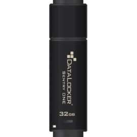 DataLocker Sentry ONE Encrypted Flash Drive, 32 GB, USB 3.1, 256-bit AES, 5 Year Warranty