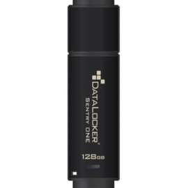 DataLocker Sentry ONE Encrypted Flash Drive, 128 GB, USB 3.1, 256-bit AES, 5 Year Warranty