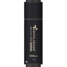DataLocker Sentry ONE Managed Encrypted Flash Drive, 128 GB, USB 3.1, 256-bit AES, TAA Compliant