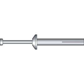 Hillman 1/4 in. D X 2 in. L Zinc Round Head Hammer Drive Anchor 2 pk