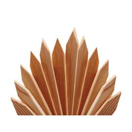 Universal Forest 24 in. H X 2 in. W Wood Grade Stake 2 in. 1 pk