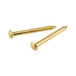 Hillman OOK Brass-Plated Hardwall Picture Hanging Nails 10 lb 10 pk