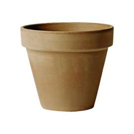Deroma 4 in. H X 4 in. D Clay Standard Planter Brown