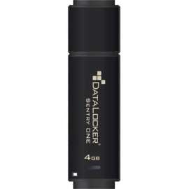 DataLocker Sentry ONE Encrypted Flash Drive, 4 GB, USB 3.1, 256-bit AES, 5 Year Warranty