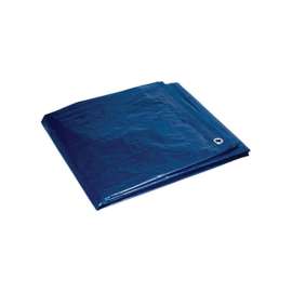 Foremost Tarp Co. 10 ft. W X 12 ft. L Heavy Duty Polyethylene Tarp Blue