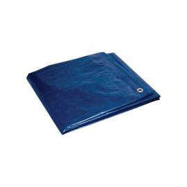Foremost Tarp Co. 6 ft. W X 8 ft. L Heavy Duty Polyethylene Tarp Blue