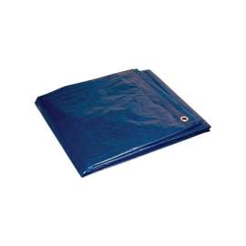 Foremost Tarp Co. 20 ft. W X 30 ft. L Heavy Duty Polyethylene Tarp Blue
