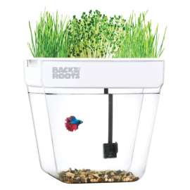 Back to the Roots Water Garden Assorted Flower and Herb Grow Kit 1 pk