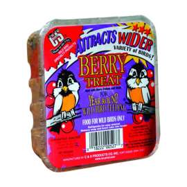 C&S Products Berry Treat Assorted Species Beef Suet Wild Bird Food 11.75 oz
