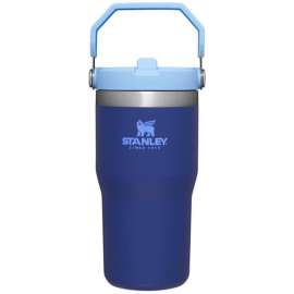 Stanley IceFlow 20 oz Lapis BPA Free Insulated Straw Tumbler