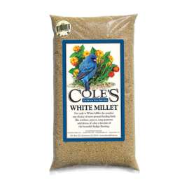 Cole's Assorted Species White Millet Wild Bird Food 20 lb