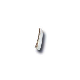 Bucky Bites Medium/Large Adult Rawhide Sticks Antler 4 in. L 1 pk