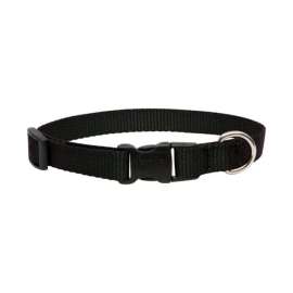 Lupine Pet Basic Solids Black Black Nylon Dog Adjustable Collar