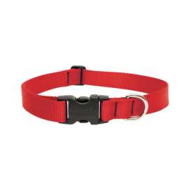 Lupine Pet Basic Solids Red Red Nylon Dog Adjustable Collar