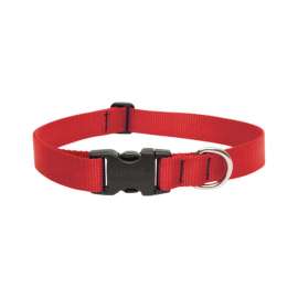 Lupine Pet Basic Solids Red Red Nylon Dog Adjustable Collar