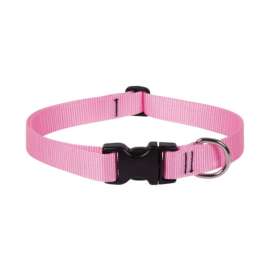 Lupine Pet Basic Solids Pink Pink Nylon Dog Adjustable Collar
